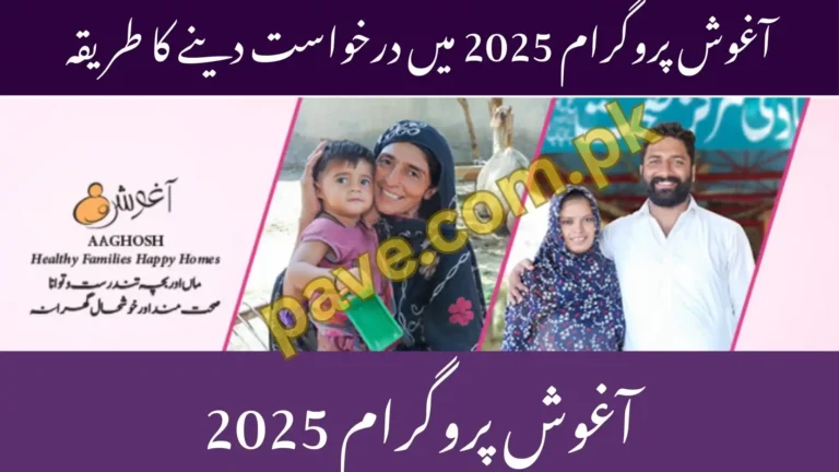 Aghosh Program vs Ehsaas Program October 2025 Which is Better for Mothers 9 Aghosh Program vs Ehsaas Program 2025 Which is