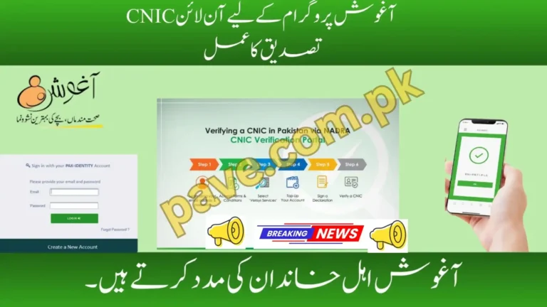 CM Aghosh Program Check Online October 2025 CNIC Verification & Payment Status 4 CM Aghosh Program Check Online 2025
