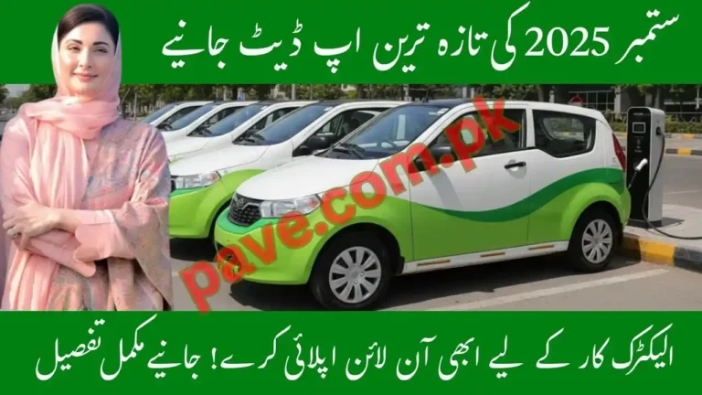 Chief Minister Punjab Electric Car Scheme Register Now & Earn 1 Lakh Rupees 7 Chief Minister Punjab Electric Car Scheme