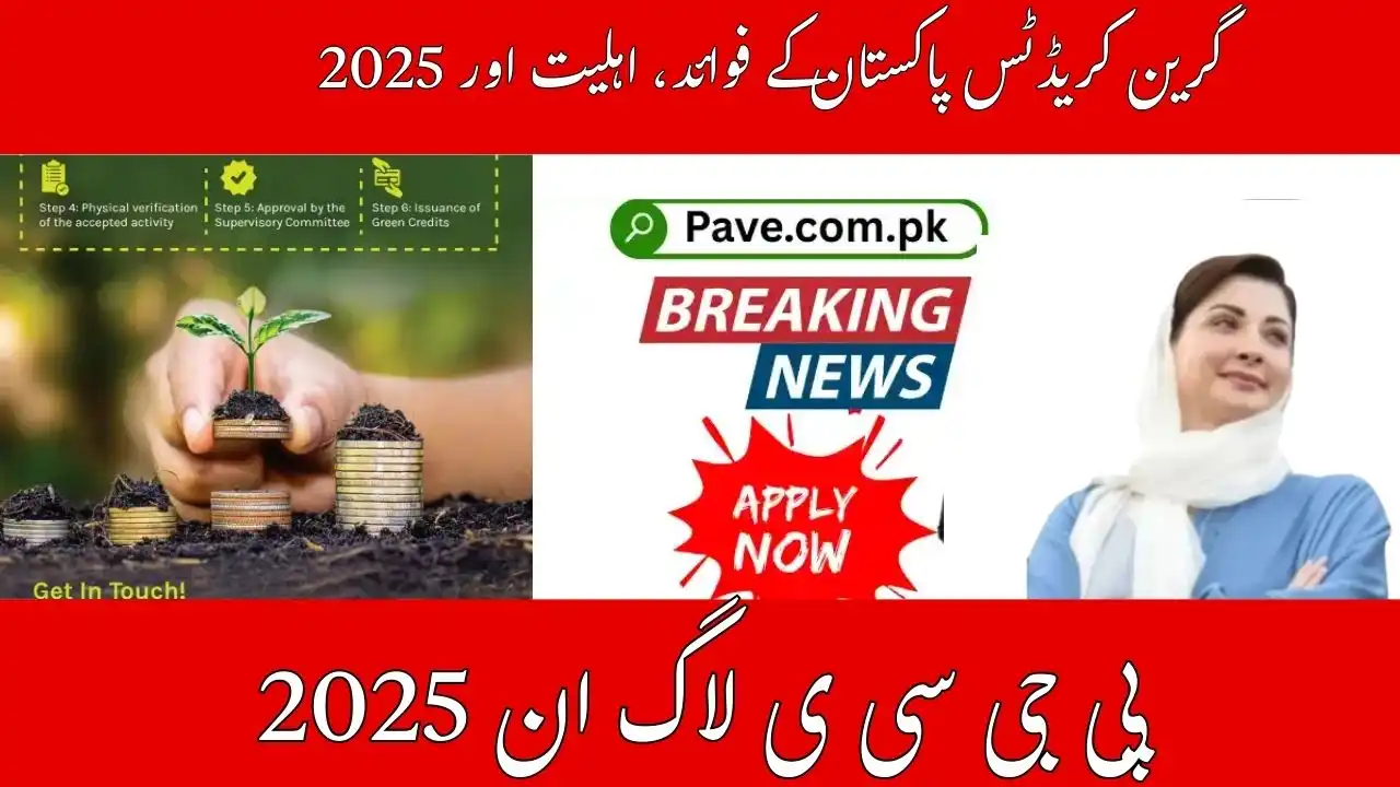 PGCP Login October 2025 How to Check Your Punjab Green Credit Program Application Status Online 1 PGCP Login 2025