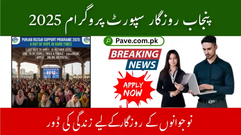 Punjab Rozgar Support Programme October 2025 – A Lifeline for Youth Employment 10 Punjab Rozgar Support Programme 2025