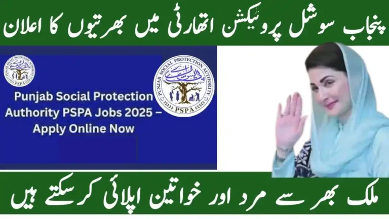 Punjab Social Protection Authority Programs 2025