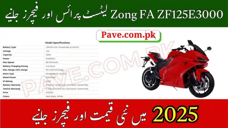 Zong FA ZF125E3000: High-End Electric Bike for Performance Seekers 5 Zong FA ZF125E3000