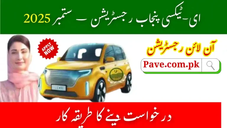 Common Issues in e-Taxi Punjab Registration – September 2025 5 e-Taxi Punjab Registration