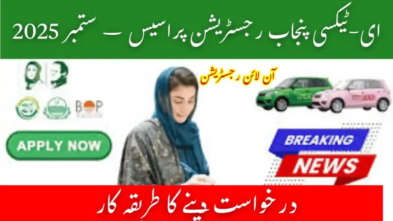 Speed Up Your e-Taxi Punjab Registration Process – September 2025 3 e-Taxi Punjab Registration