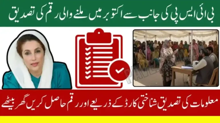 BISP Ineligible Families 2025