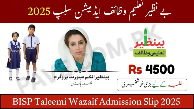 How to Resubmit BISP Taleemi Wazaif Admission Slip 2025 Step-by-Step Process 7 BISP Taleemi Wazaif Admission Slip 2025