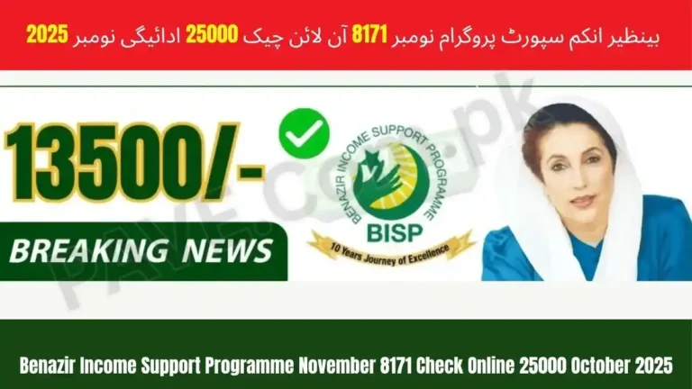 Benazir Income Support Programme November 8171 Check Online 25000 2025 9 Benazir Income Support Programme November
