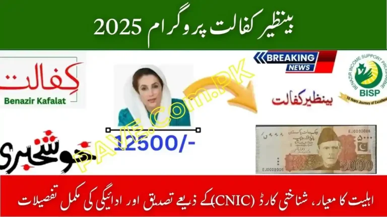 Benazir Kafalat Program 2025 – Eligibility Criteria, CNIC Check, and Payment Details 9 Benazir Kafalat Program 2025