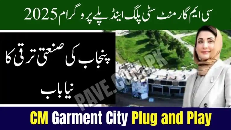 CM Garment City Plug and Play Online Registration 2025 – Jobs, Training, and Industrial Growth Revolution in Punjab 9 CM Garment City Plug and Play Online Registration