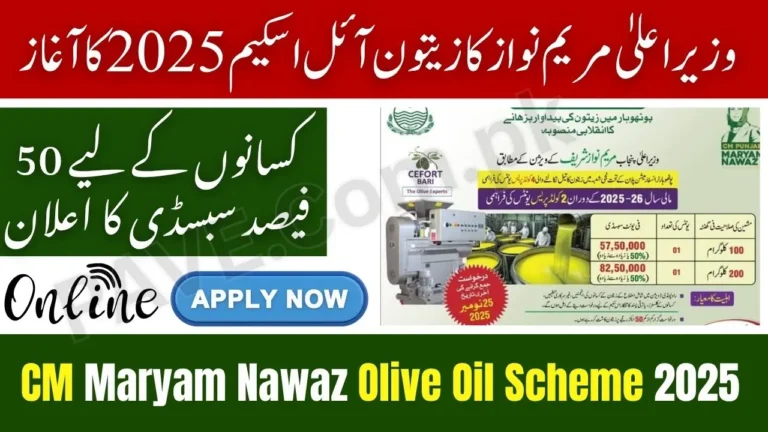 CM Maryam Nawaz Launches Olive Oil Scheme 2025 — 50% Subsidy for Extraction Units in Punjab 3 CM Maryam Nawaz Launches Olive Oil Scheme 2025