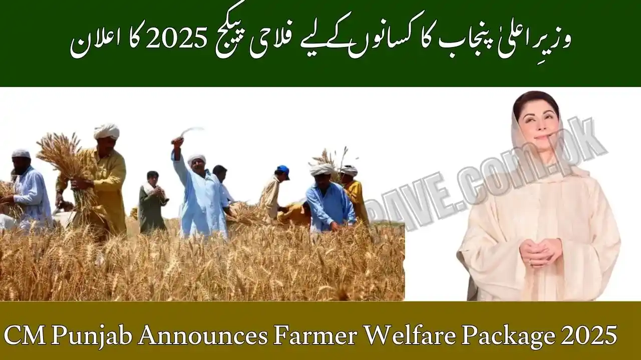 Breaking News: CM Punjab Announces Farmer Welfare Package 2025 – Big Relief for Kisans 1 CM Punjab Announces Farmer Welfare Package 2025