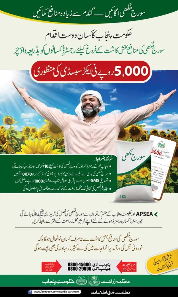 Breaking: CM Punjab Announces Rs 5000 Sunflower Subsidy Scheme 2025 2 CM Punjab Announces Rs 5000 Sunflower Subsidy Scheme 2025