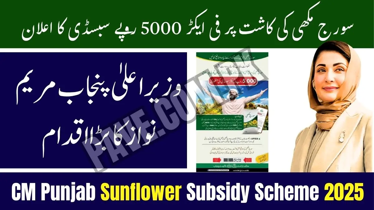Breaking: CM Punjab Announces Rs 5000 Sunflower Subsidy Scheme 2025 1 CM Punjab Announces Rs 5000 Sunflower Subsidy Scheme 2025