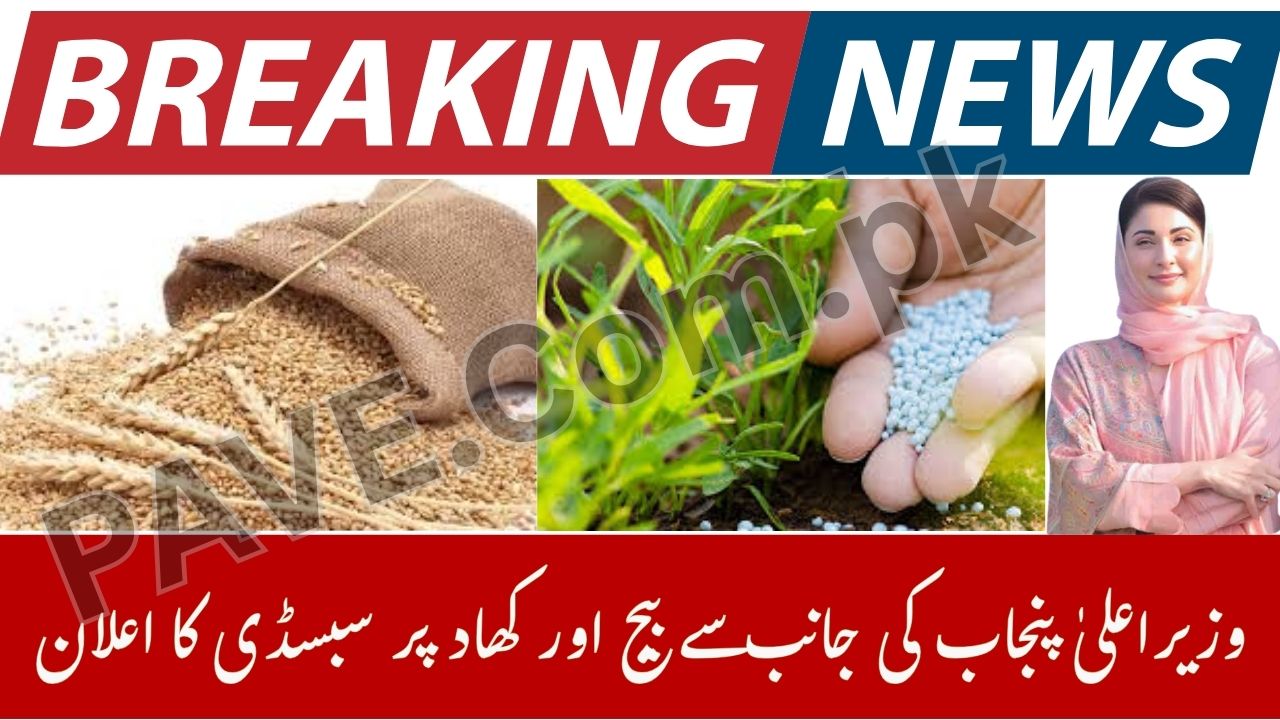 Breaking: CM Punjab Announces Seed and Fertilizer Subsidy 2025 for Farmers 1 CM Punjab Announces Seed and Fertilizer Subsidy 2025 for Farmers
