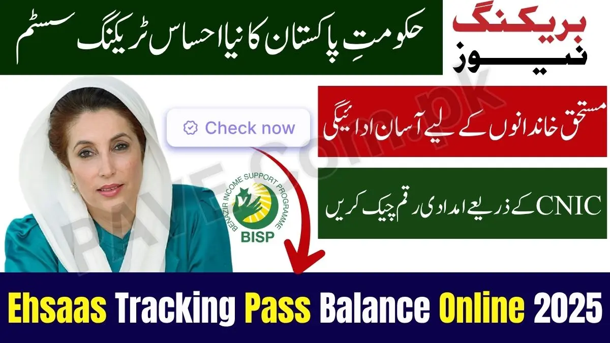 Check Ehsaas Tracking Pass Gov PK Balance Online 2025 — 8171 CNIC Verification Portal Guide 1 Check Ehsaas Tracking Pass Gov PK Balance Online 2025