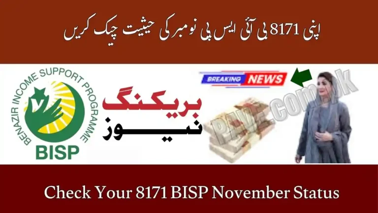 Check Your 8171 BISP November Status by CNIC Update 3 Check Your 8171 BISP November Status