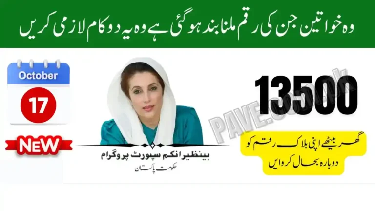 Fix BISP Payment Block Caused by Tax Record Issues Quick Solutions 4 Fix BISP Payment Block Caused by Tax Record Issues Quick Solutions