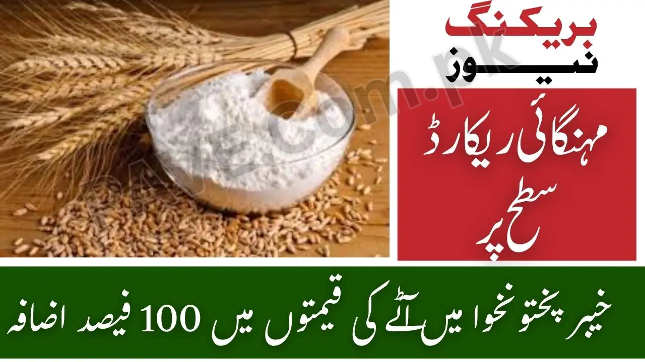 Breaking News: Flour Prices in KP Double After Punjab Ban 1 Flour Prices in KP Double After Punjab Ban