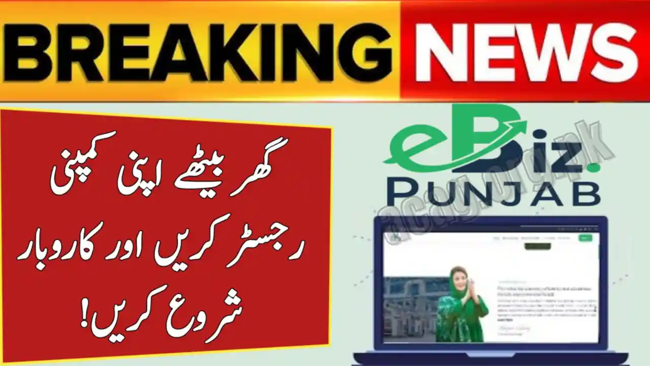 Good News: How to Start a Business from Home via eBiz Punjab 2025 – Complete Online Registration Guide 1 Good News How to Start a Business from Home via eBiz Punjab 2025