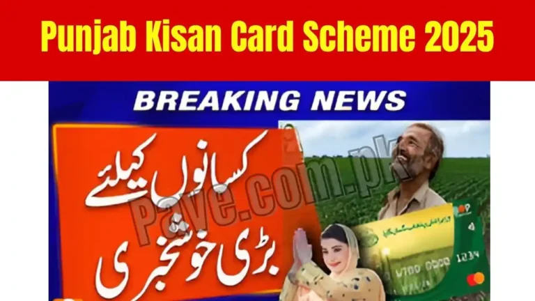 Announcement: Punjab Kisan Card Scheme 2025 – Apply Online for Easy Agriculture Loans and Subsidies 4 Apply Online PM Electric Bike and Rikshaw Scheme 2025