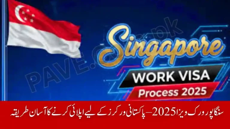 How to Get a Singapore Work Visa in 2025 – Complete Guide for Pakistani Workers 6 How to Get a Singapore Work Visa in 2025