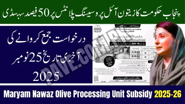 Maryam Nawaz Launches Olive Processing Unit Subsidy 2025-26 – Check Eligibility Criteria and Deadline 3 Maryam Nawaz Launches Olive Processing Unit Subsidy 2025-26