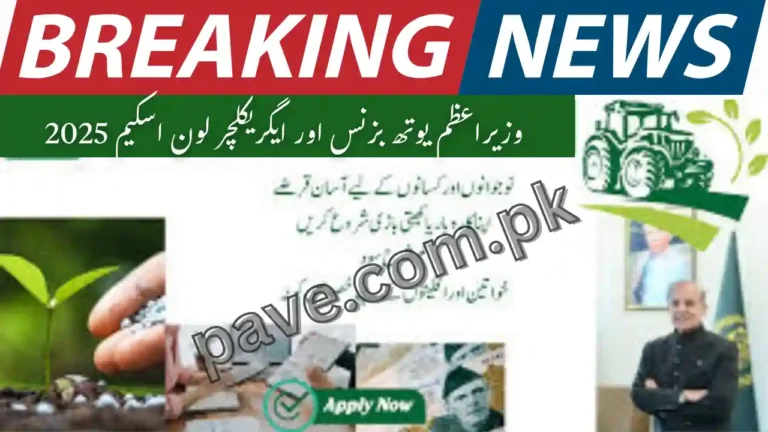 PM Youth Business & Agriculture Loan Scheme 2025 Apply now 2 PM Youth Business & Agriculture Loan Scheme 2025