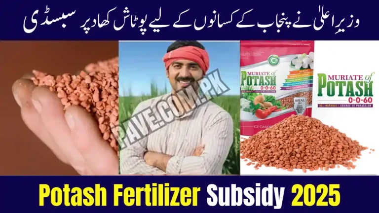 Breaking: CM Punjab Announces Potash Fertilizer Subsidy 2025 — Farmers to Get Rs. 800 Per Bag Relief 8 CM Punjab Announces Potash Fertilizer Subsidy 2025
