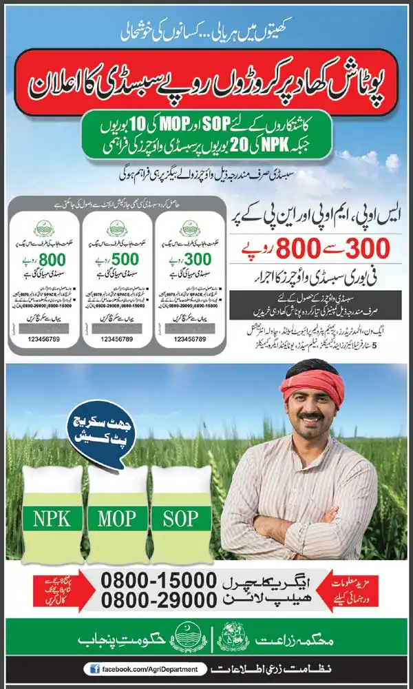 CM Announces Potash Fertilizer Subsidy 2025 for Punjab Farmers 2 Potash MOP SOP subsidy Punjab