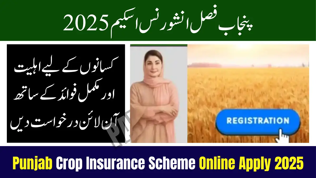 Punjab Crop Insurance Scheme Online Apply 2025 – Eligibility & Full Benefits for Farmers 1 Punjab Crop Insurance Scheme Online Apply 2025