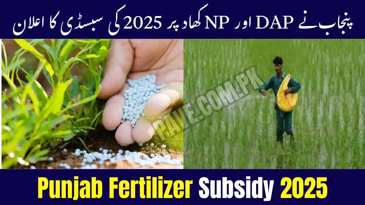 Punjab Fertilizer Subsidy 2025 Announced for DAP & NP Users 1 Punjab Govt Launches DAP and NP Fertilizer Subsidy Program 2025