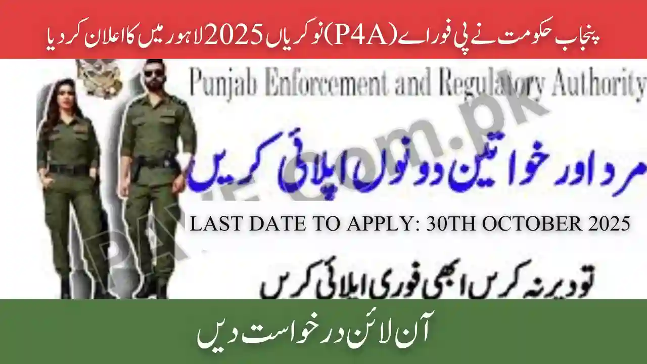 Punjab Govt Announces P4A Jobs 2025 in Lahore — Apply Online for Management & Specialist Posts 1 Punjab Govt Announces P4A Jobs 2025 in Lahore