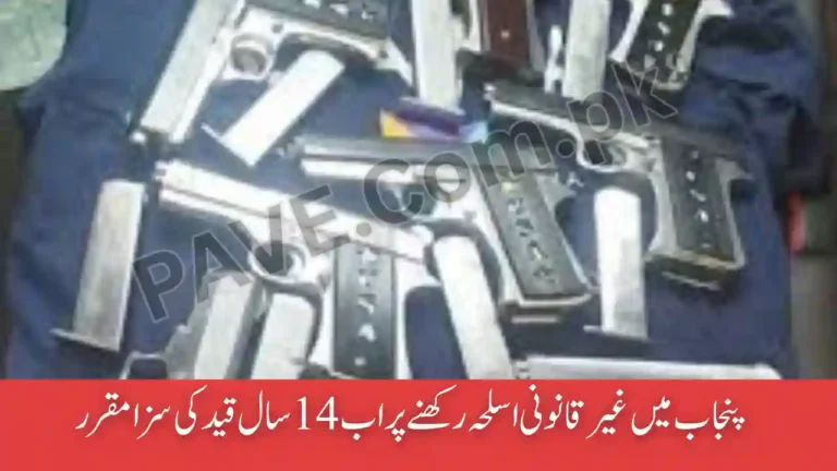 Punjab Illegal Weapons Punishment