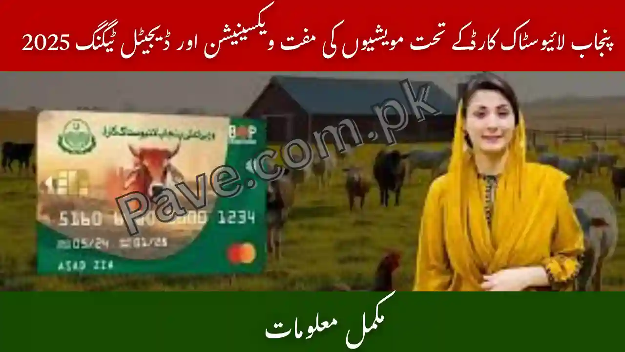 Punjab Livestock Card Animals Vaccination & Tagging Drive 2025 – Complete Guide 1 Punjab Livestock Card Animals Vaccination & Tagging Drive 2025