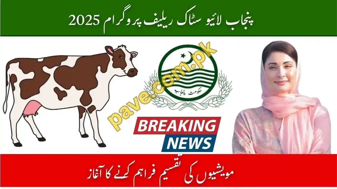 Punjab Livestock Relief Program 2025