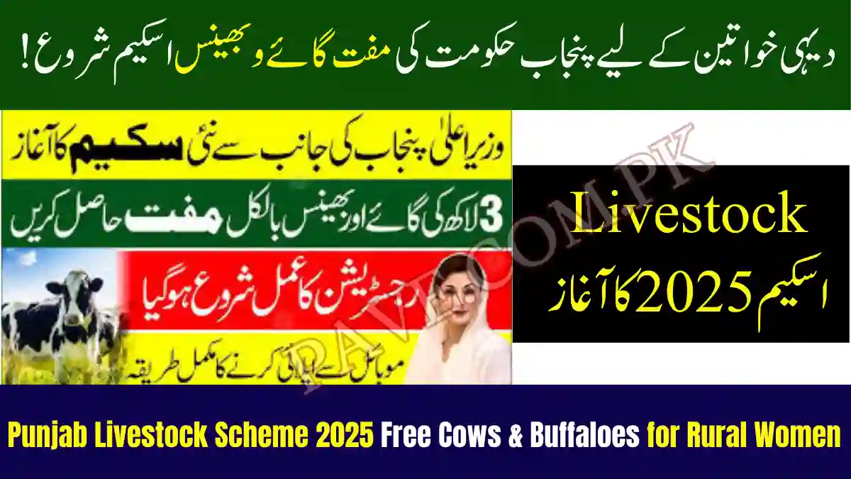 Punjab Livestock Scheme 2025 Free Cows & Buffaloes for Rural Women Empowerment 1 Punjab Livestock Scheme 2025 Free Cows & Buffaloes for Rural Women