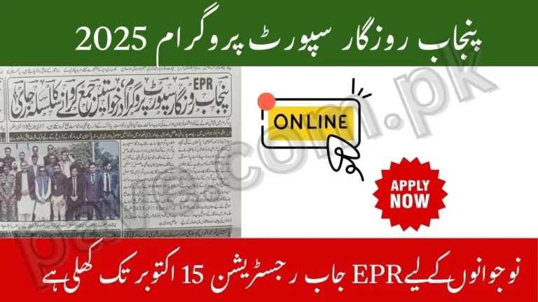Punjab Rozgar Support Program 2025 – EPR Job Registration Now Open for Youth till 15 October 4 Punjab Rozgar Support Program 2025