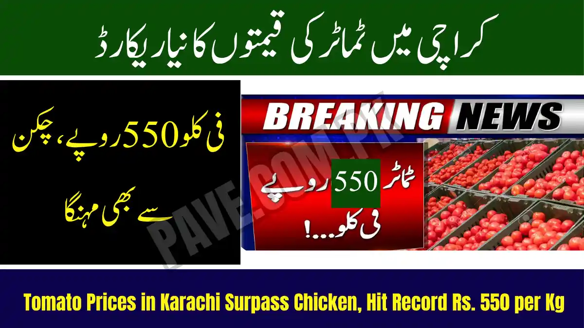 Breaking News: Tomato Prices in Karachi Surpass Chicken, Hit Record Rs. 550 per Kg 1 Tomato Prices in Karachi Surpass Chicken, Hit Record Rs. 550 per Kg