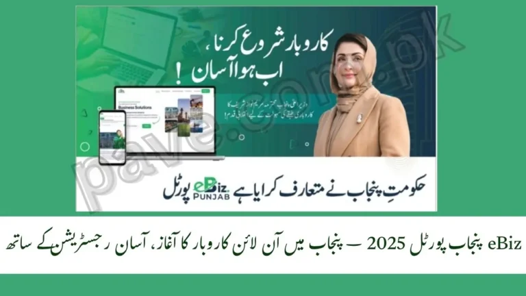 eBiz Punjab Portal 2025 Register Your Business Online in Punjab 9 eBiz Punjab Portal 2025 Register Your Business Online in Punjab