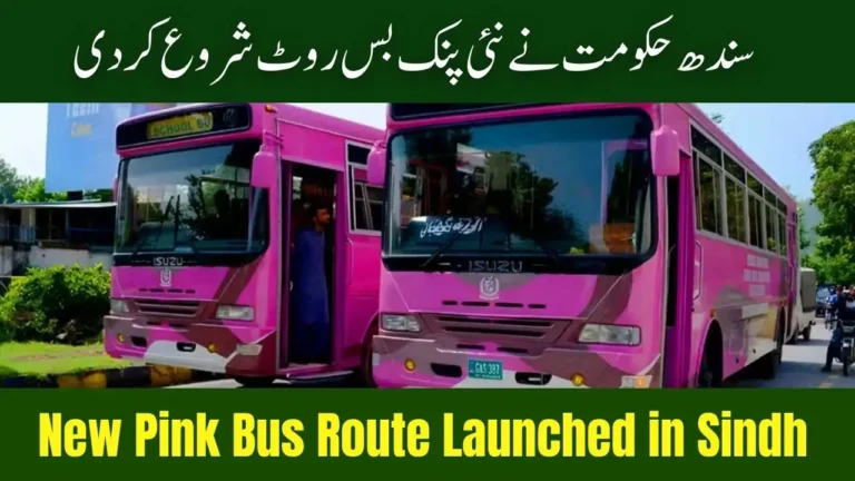 New Pink Bus Route Launched in Sindh