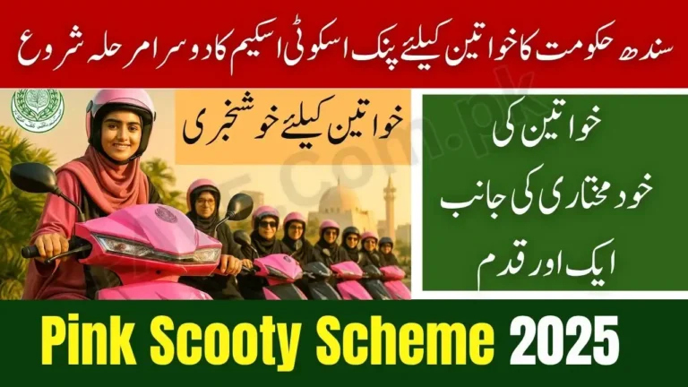 Pink Scooty Scheme Phase 2 Announced – Sindh Govt to Distribute More Free Electric Scooters 8 Pink Scooty Scheme Phase 2 Announced
