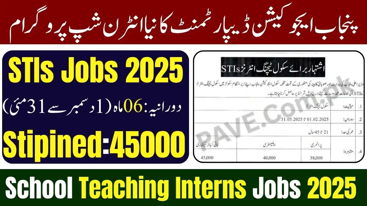 Punjab Announces School Teaching Interns STIs Jobs 2025