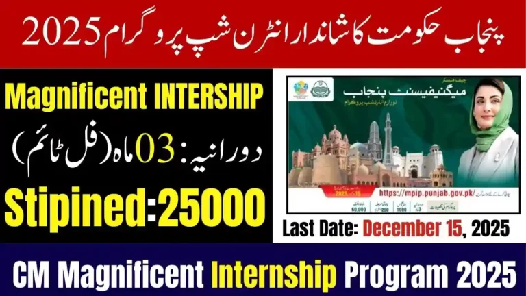 Punjab Govt Announces Magnificent Internship Program 2025Punjab Govt Announces Magnificent Internship Program 2025