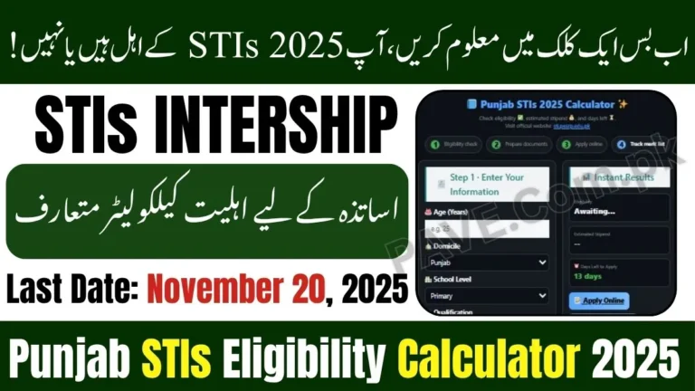 Punjab STIs Eligibility Calculator 2025