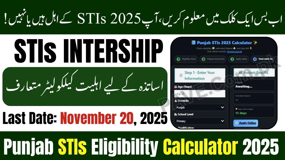 Punjab STIs Eligibility Calculator 2025
