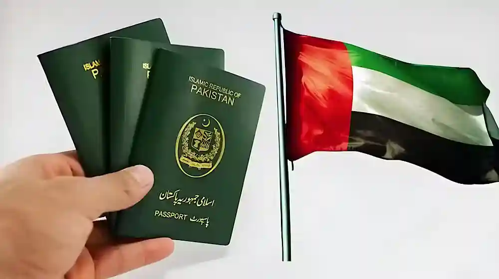 UAE Reveals Number of Visas Processed for Pakistanis Daily – Full Details, Reforms & Travel Updates 1 UAE visa for Pakistanis