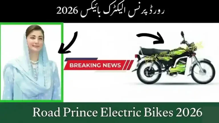 Road Prince Electric Bikes 2026 Price, Battery & Mileage 9 Road Prince Electric Bikes 2026 Price, Battery & Mileage