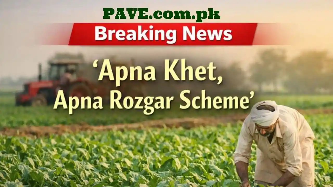 Punjab Launches Another Program ‘Apna Khet, Apna Rozgar Scheme’ – Great Farming Initiative to Uplift 1 Apna Khet, Apna Rozgar Scheme