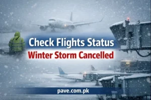 Check Flights Status Winter Storm Cancelled